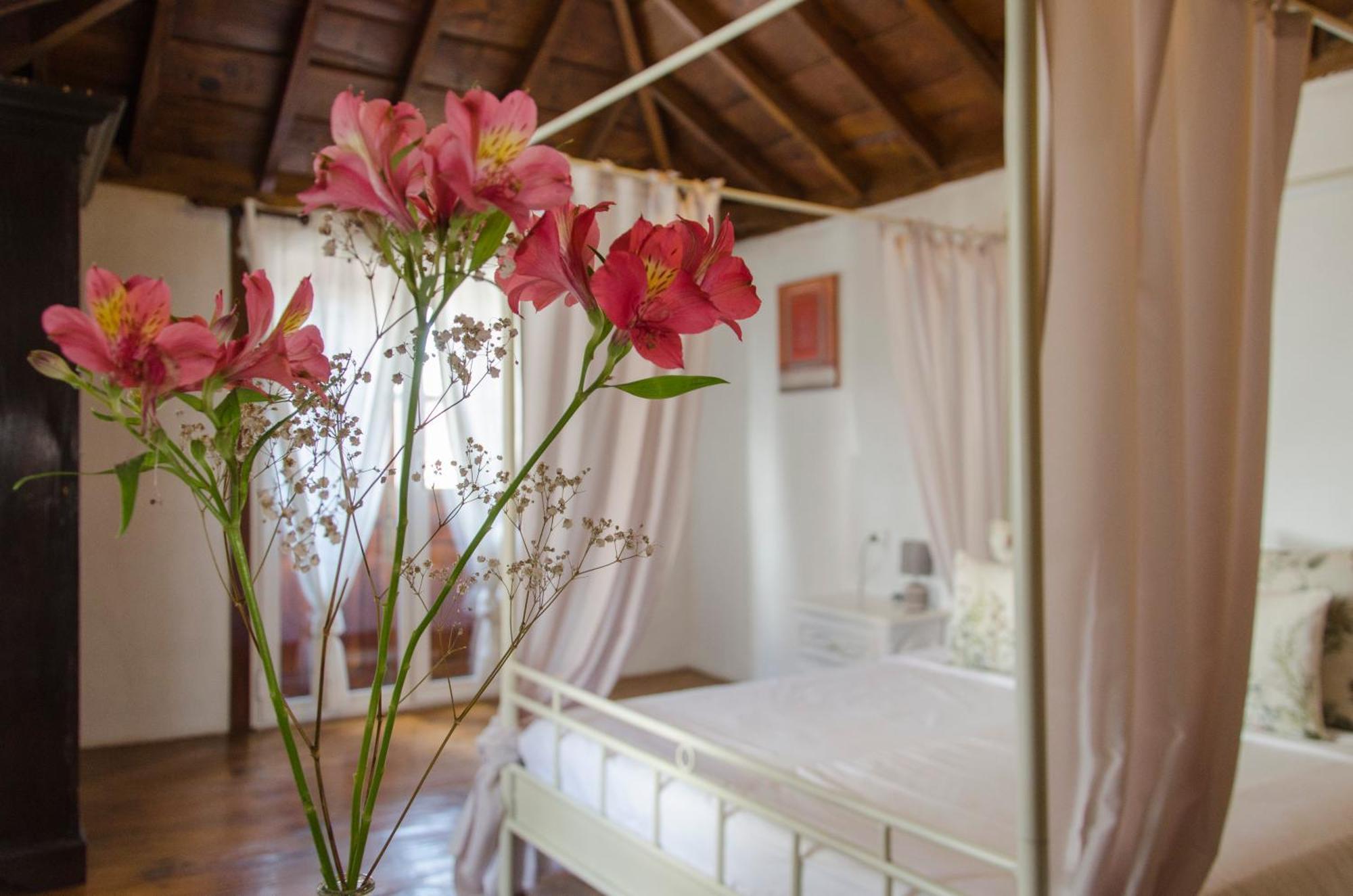 Hotel Rural Casona Santo Domingo Güimar Екстериор снимка